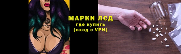 ПСИЛОЦИБИНОВЫЕ ГРИБЫ Аркадак