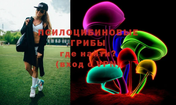 мяу мяу мука Арсеньев