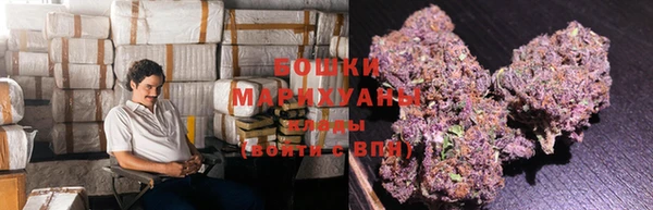 ПСИЛОЦИБИНОВЫЕ ГРИБЫ Аркадак