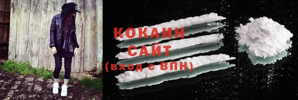 ПСИЛОЦИБИНОВЫЕ ГРИБЫ Аркадак