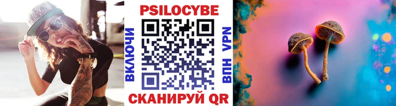 Псилоцибиновые грибы Psilocybe  даркнет сайт  Пустошка 